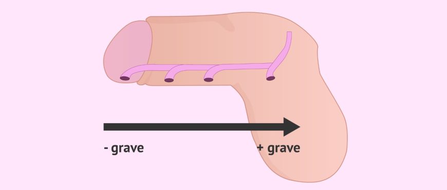 WhatsApp Image 2025-04-25 at 17.31.30